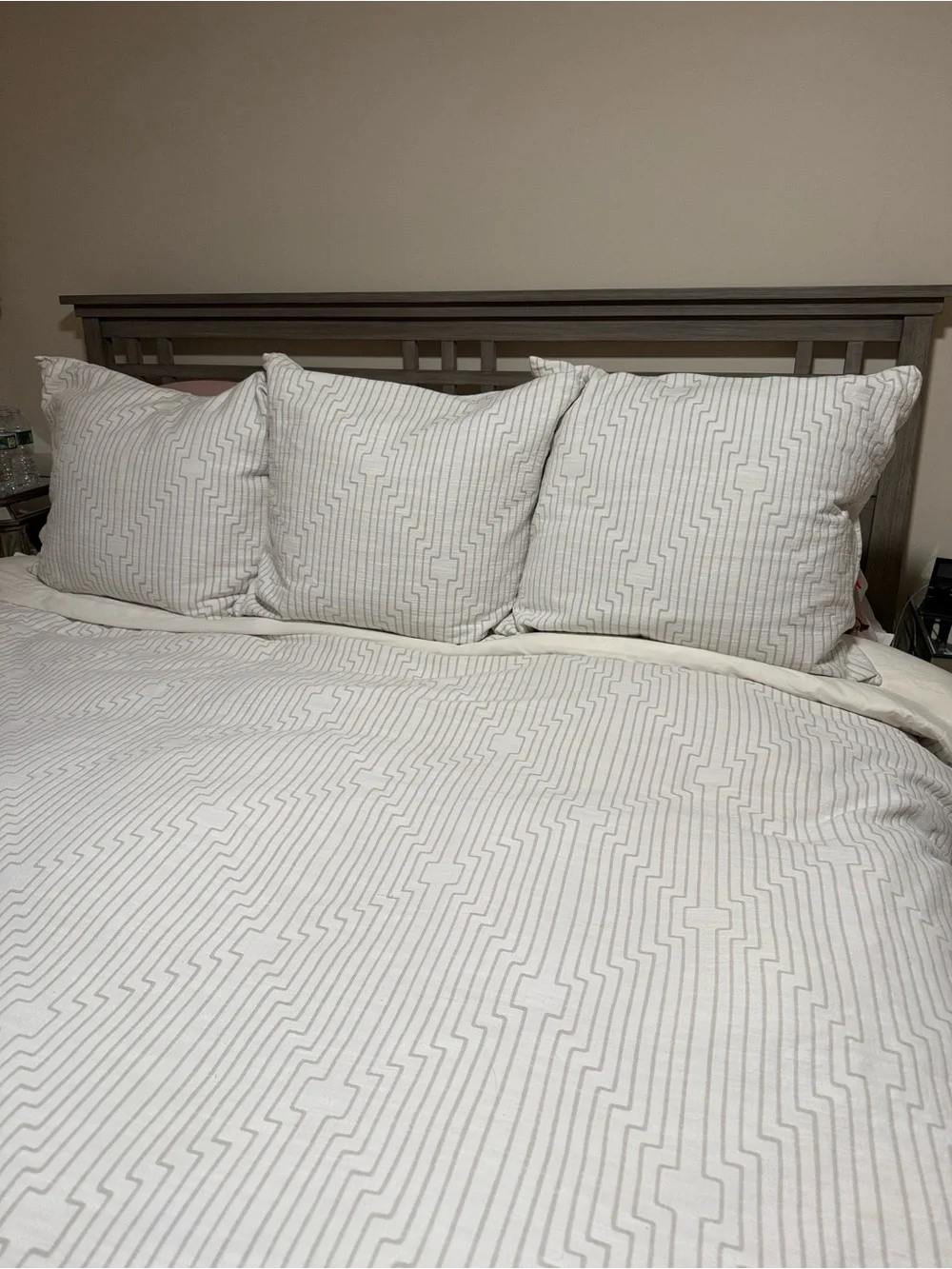 Three (3) West Elm Euro Shams